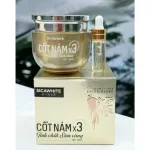 Kem mặt Sica White Cốt Nám X3, tinh chất sâm vàng 30gr