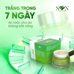 Bảng giá sỉ kem Face SON Màu Vàng Dưỡng Trắng Da Giảm Mụn Thâm