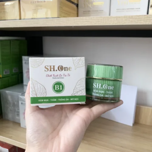 Từ sắc xanh trên kệ đến bước dưỡng sau làm sạch — Kem Face Mụn Thâm B1 SH