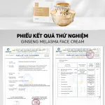 Bảng giá sỉ kem Face Nám Nhân Sâm Ginseng Melasma A Cosmetics 2024 Mỹ Phẩm Phương Anh