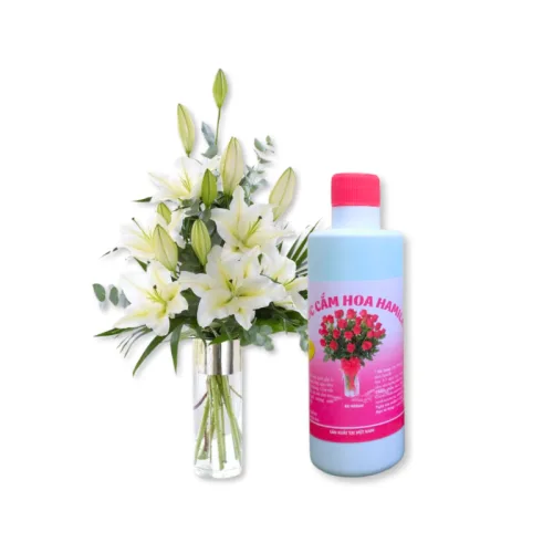 Hình ảnh Nước Cắm Hoa Hamilk - Nước Giúp Hoa Tươi Lâu 14 Ngày 500ml trong bộ sưu tập Dụng cụ tiện ích