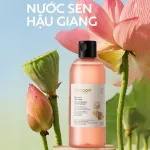 Nước Sen Hậu Giang Toner Cocoon 310ml Dành Cho Da Nhạy Cảm Hỗ Trợ Cấp Ẩm Phục Hồi Da