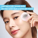 Nước Tẩy Trang Garnier Skin Naturals Salicylic BHA 400ml
