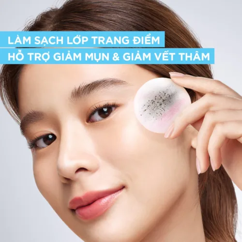 Nước Tẩy Trang Garnier Skin Naturals Salicylic BHA 400ml