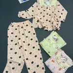 Đồ bộ nữ tiểu thư tay dài cotton hàn không giãn  HT-15236 - 115236