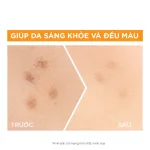 Serum Garnier Dưỡng Sáng Da Skin Naturals Bright Complete 30x Vitamin C Booster Serum 30ml