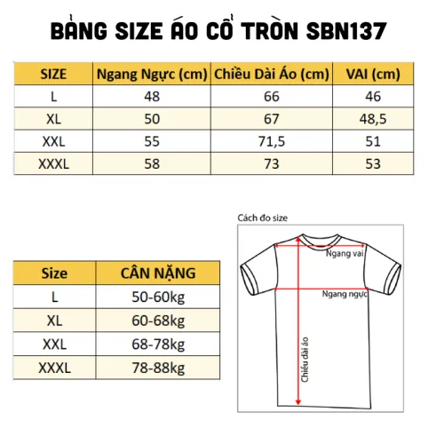 Set Bộ Nam Áo Thun Cổ Tròn Phối Sọc Màu + Quần Short Thun Thể Thao Cao Cấp (Big Size)