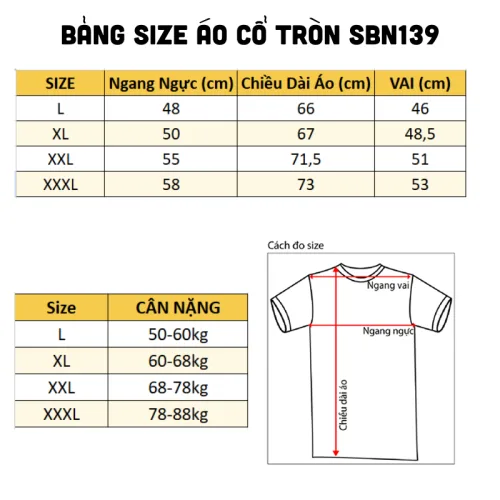 Set Bộ Nam Áo Thun Cổ Tròn Tay Ngắn Phối Sọc Màu + Quần Short Thun Thể Thao Cao Cấp (Big Size)