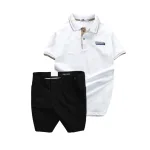 Set Bộ Nam - Áo Thun Nam Polo Cổ Bẻ Pack Horse Logo Thêu Và Quần Short Kaki Co Giãn Phối Nút Cao Cấp (Có Size 36)