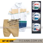 Set Bộ Nam - Áo Thun Nam Polo Cổ Bẻ Vải Thun Cá Sấu Poly Phối Kẻ Sọc Màu Và Quần Short Kaki Co Giãn Phối Nút Cao Cấp (Có Size 36)