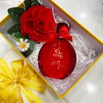 Set Hộp Quà Tặng Chữ Nhật Lớn Nước Hoa Nữ Charme Level 100ml - Hộp Hoa Rơm Nhiều Màu