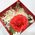 Bảng giá sỉ set Hộp Quà Tặng Son Môi Love M.O.I Màu Vàng - Son Moi 3 Màu - Hộp Hoa Rơm Nhiều Màu