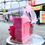 Set Quà Tặng Nước Hoa Nữ Charme Queen 100ml - Túi Trong Vuông Có Đèn Đom Đóm Lót Giấy Rơm Thắt Nơ Xinh Xắn Nhiều Màu