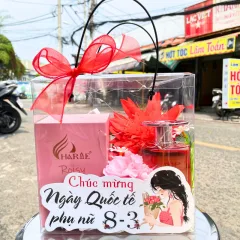 Set Quà Tặng Nước Hoa Nữ Charme Roisy 100ml - Túi Trong Vuông Có Đèn Đom Đóm Lót Giấy Rơm Thắt Nơ Xinh Xắn Nhiều Màu