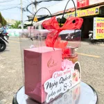 Set Quà Tặng Nước Hoa Nữ Charme Roisy 100ml - Túi Trong Vuông Có Đèn Đom Đóm Lót Giấy Rơm Thắt Nơ Xinh Xắn Nhiều Màu