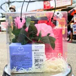 Set Quà Tặng Nước Hoa Nữ Charme So Sexy 100ml Phiên Bản Cũ - Túi Trong Vuông Có Đèn Đom Đóm Lót Giấy Rơm Thắt Nơ Xinh Xắn Nhiều Màu
