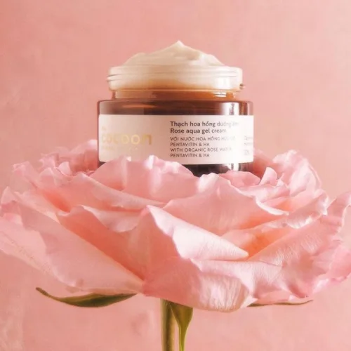 Đánh giá thạch Hoa Hồng Cocoon Rose Aqua Gel Cream Giúp Dưỡng Ẩm Da 30ml