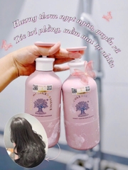 Cặp dầu phiên bản nâng cấp x3 lần Biotin Collagen Essence, hương nước hoa
