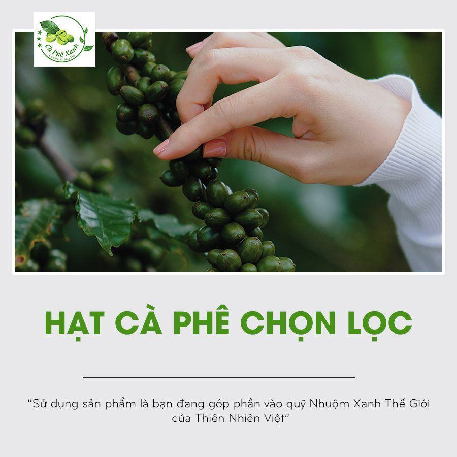SỬ DỤNG CÀ PHÊ XANH, TỨC LÀ BẠN ĐANG THƯỞNG THỨC TINH HOA CÀ PHÊ VIỆT ĐẤY!!!