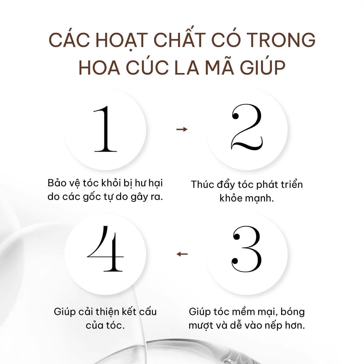 Hoa cúc la mã thành phần bí ẩn mà mái tóc của bạn đang khao khát