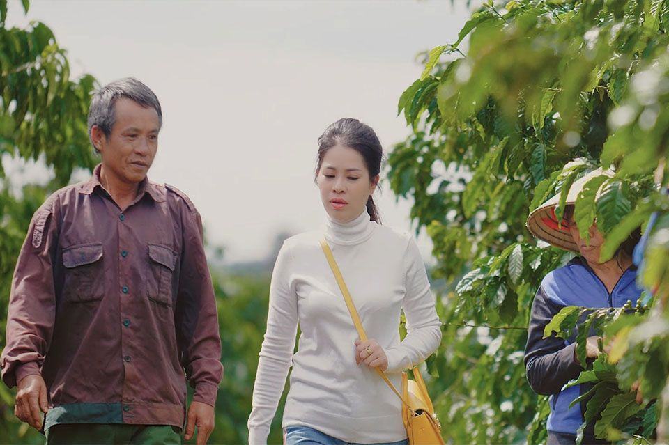 Quá trình sản xuất khép kín của Cà Phê Xanh