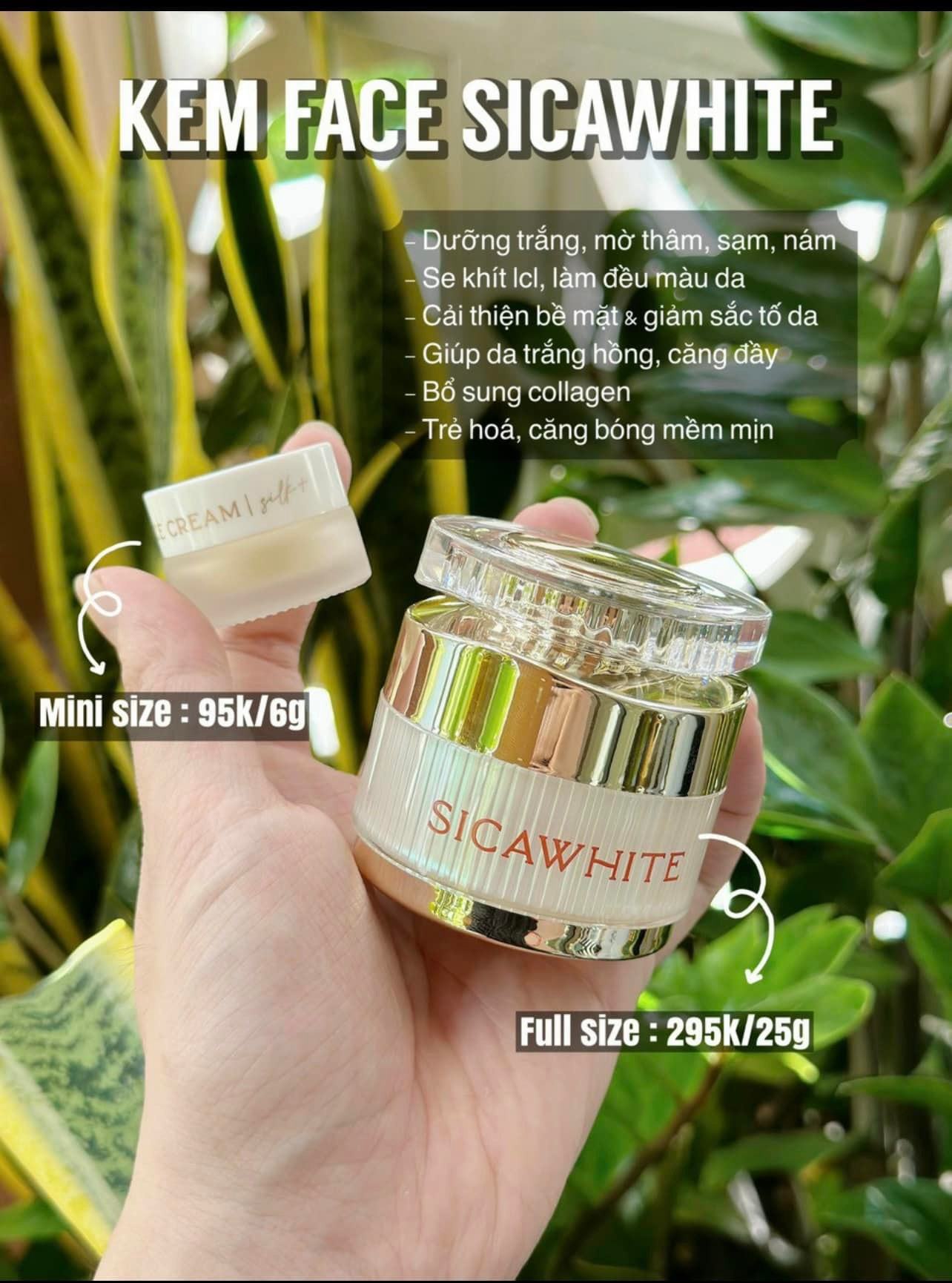 Da mặt khỏe tự tin mặt mộc Combo face lụa SiCa White