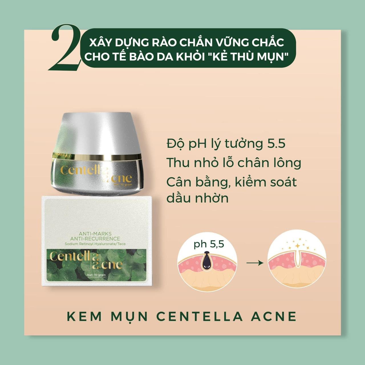 Dẹp ngay mụn cứng đầu sau 28 ngày sử dụng với Kem Face Mụn Rau Má Jiuhe Centella Acne