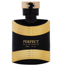 Nước Hoa Nam Good Charme Perfect 100ml chính hãng - 8936194691903