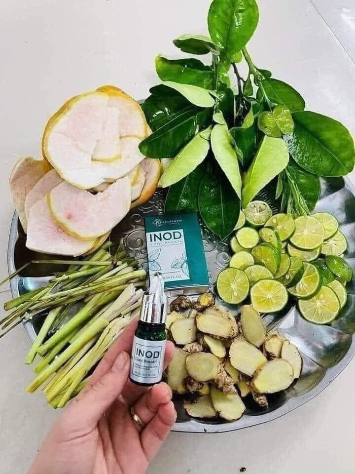 17435-296864521-123925223711626-8406369626182200814-n-4.jpg Serum Inod Cool Breath Giúp Thơm Miệng Huyền Phi - 8938515976430