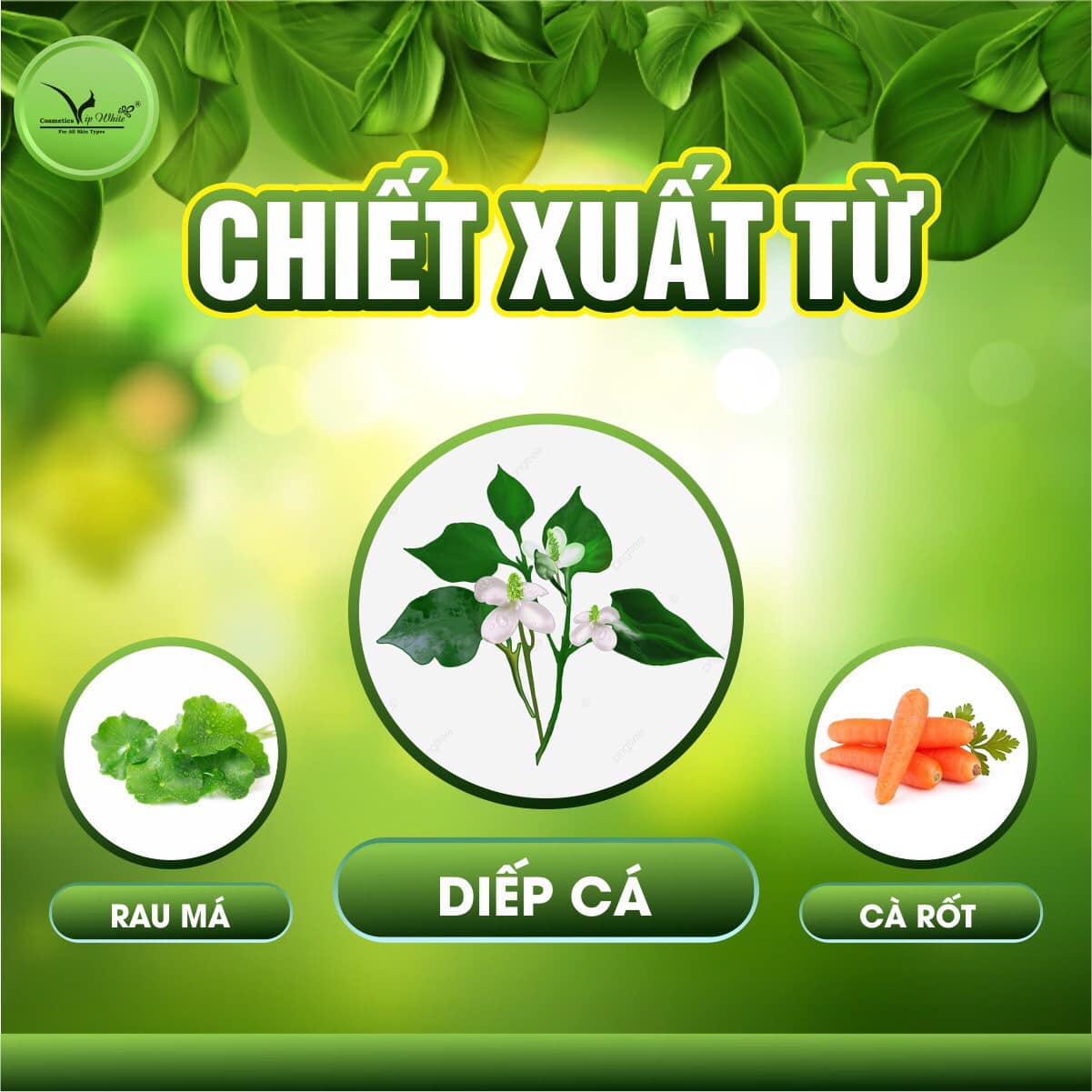 17758-306454959-2308955285939438-8775681152749652569-n-4.jpg Sữa Rửa Mặt Rau Củ VIP White - 8938521762294