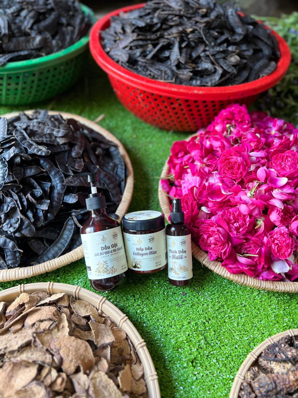 18440-336913131-5888597901261176-8759808057354518392-n-4.jpg Combo Gội Xả Xịt Bồ Kết Bưởi Dừa Dr Di Hi - COMBODIHI