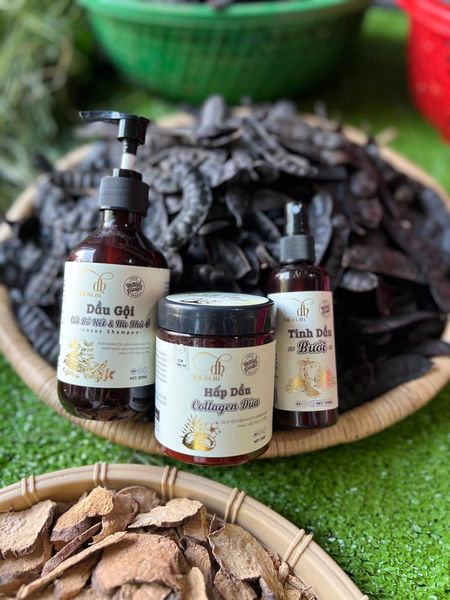 18440-337530748-1222710458635524-4600780508513673357-n-4.jpg Combo Gội Xả Xịt Bồ Kết Bưởi Dừa Dr Di Hi - COMBODIHI