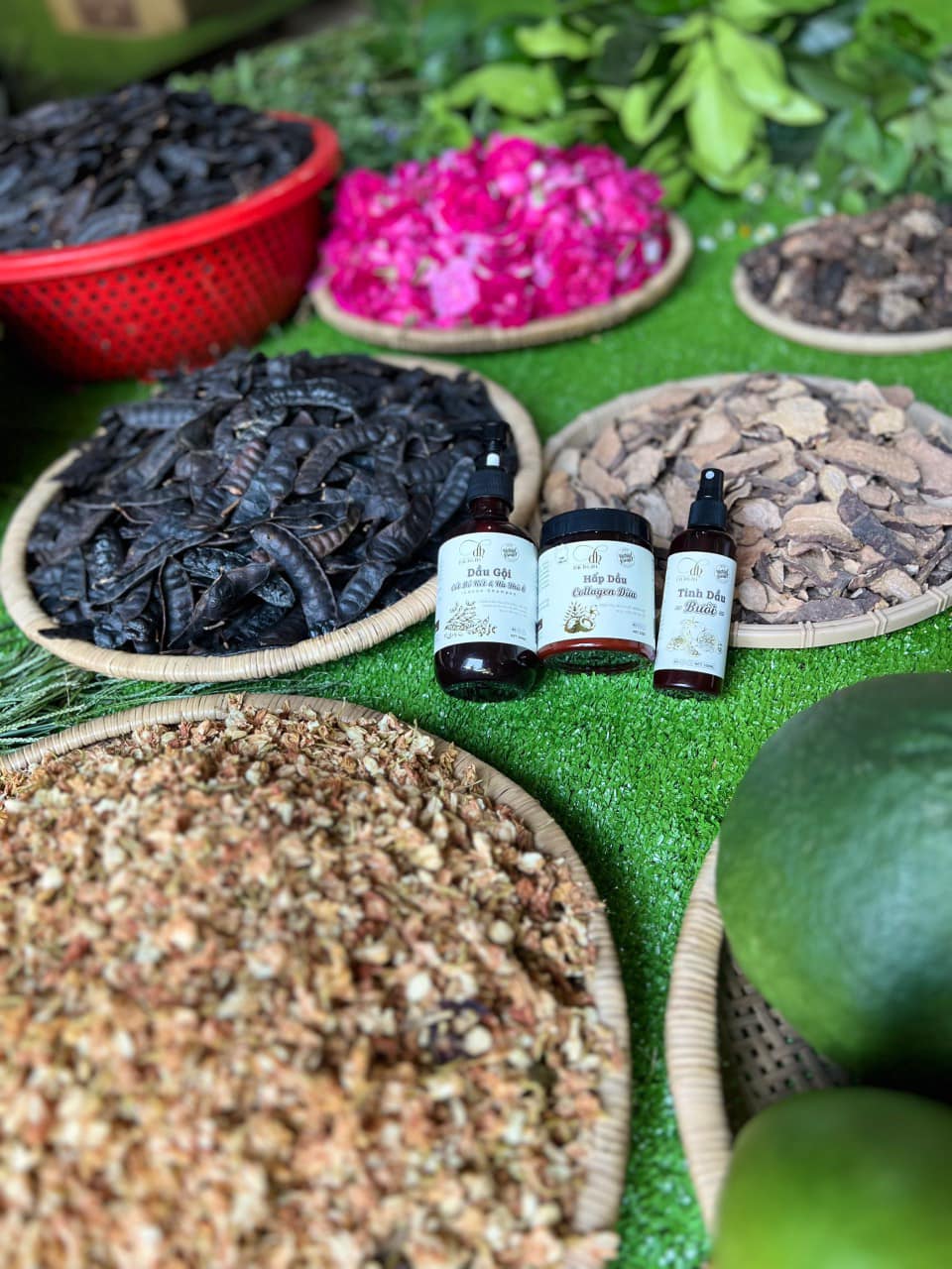 18440-337707380-975207283533378-4637668393264922057-n-4.jpg Combo Gội Xả Xịt Bồ Kết Bưởi Dừa Dr Di Hi - COMBODIHI