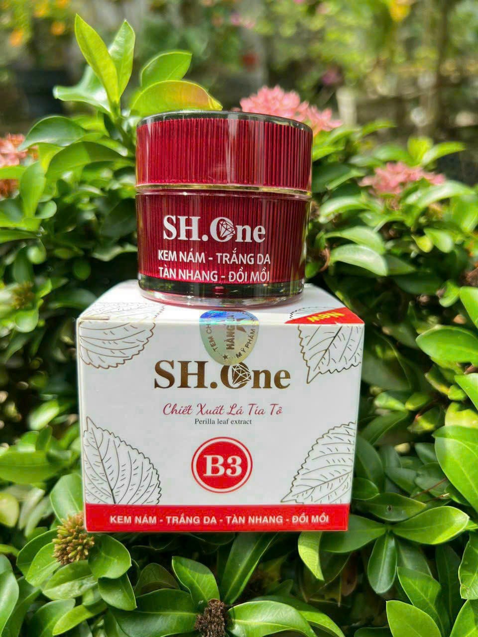 Kem Face Nám Trắng Da B3 SH One Đỏ Chiết Xuất Lá Tía Tô 5 Kem Face Nám Trắng Da B3 SH One Đỏ Chiết Xuất Lá Tía Tô