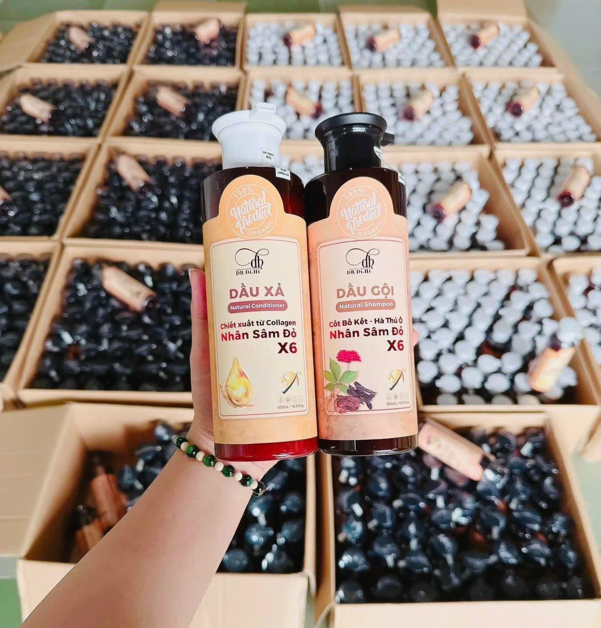 21130-z4674317807154-6230f8177b8a08e28d873bea4dd5c11a-2.jpg Dầu Gội Cốt Bồ Kết Hà Thủ Ô Nhân Sâm Đỏ X6 Dr Di Hi - 8936118011527