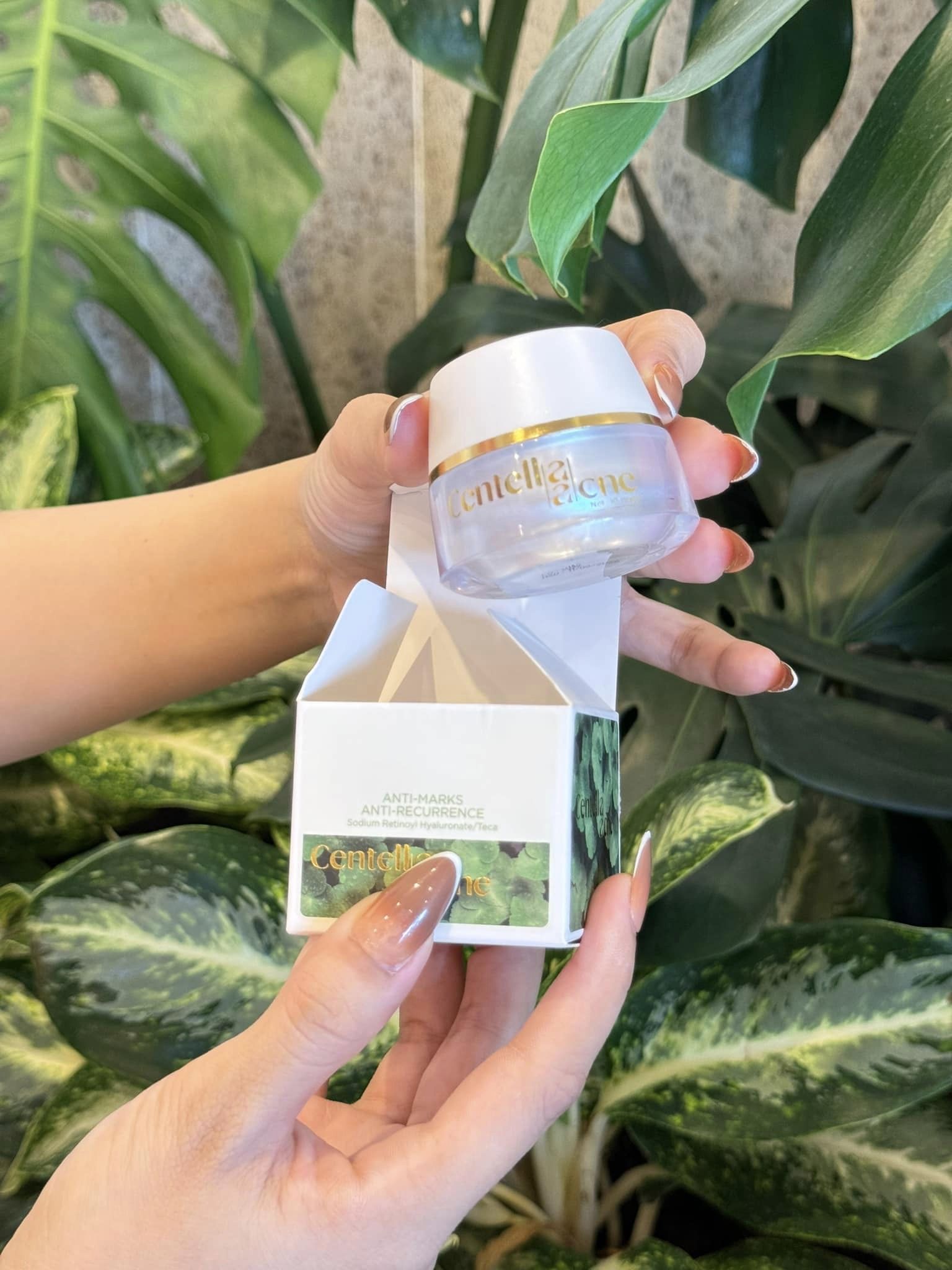 22960-391565680-984330819319171-6053799865067919866-n-2.jpg Kem Face Mụn Rau Má Jiuhe Centella Acne Thanh Tô Cosmetics 10g - FACEMUNJIUHE