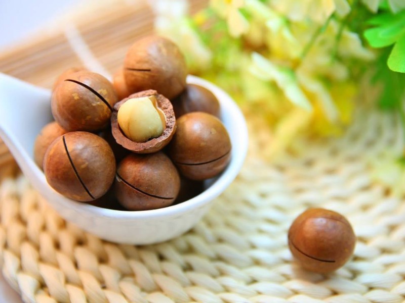 Sỉ hộp Quà Tết Hạt Macca Tây Nguyên 400g - Hộp Sun Khía 2 Sỉ hộp Quà Tết Hạt Macca Tây Nguyên 400g - Hộp Sun Khía