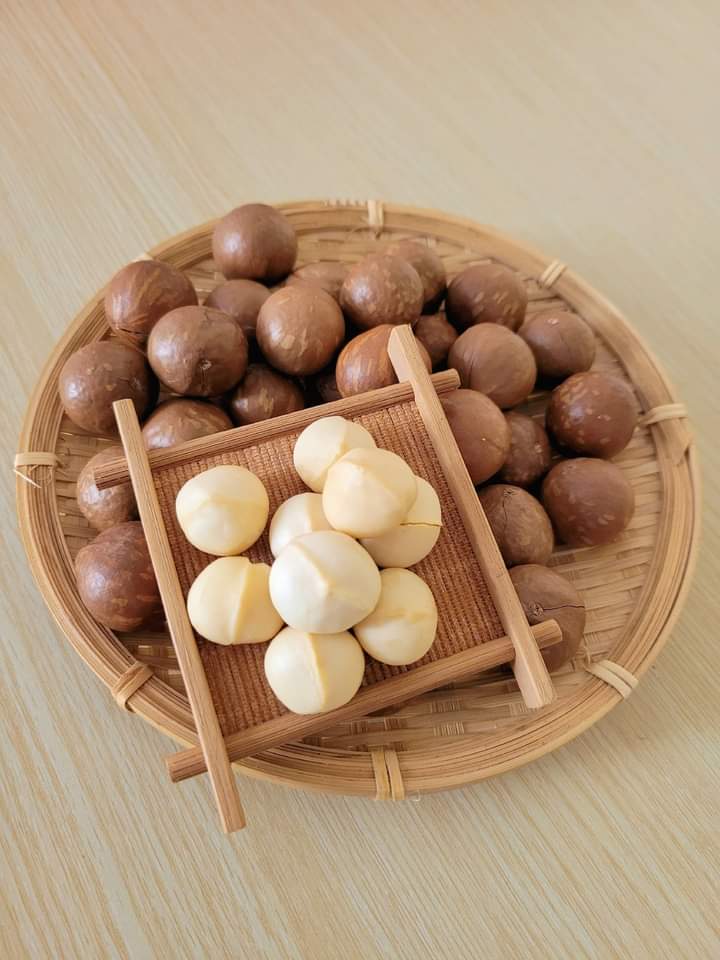 Hộp Quà Tết Set Hạt Dinh Dưỡng Tam Vị 350g - Hộp Sun Khía 4 Hộp Quà Tết Set Hạt Dinh Dưỡng Tam Vị 350g - Hộp Sun Khía