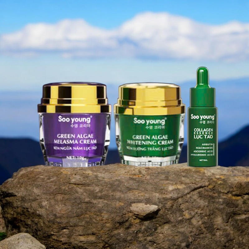 24930_9-photoroom_20240821121239-1.jpg Combo Kem Face Ngày Đêm Lục Tảo Soo Young Mini - CBFACESYMINI01