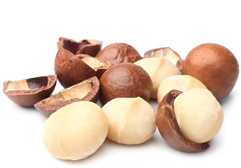 25738_hat-mac-ca-la-gi_20241113100801-7.jpg Hộp Hạt Macca Tây Nguyên Hộp Vuông Tròn 550G Hộp Quà Tết 2026 - HMTNHCN550