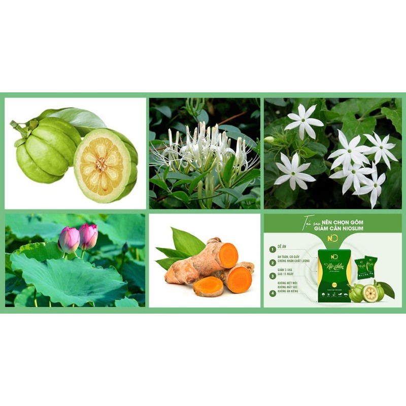25844_nioslim-xanh-phu-photoroom-1_20241129161723-3.jpg Kẹo Gôm Nioslim Thơm Ngon 15 gói - Tặng 1 Hộp Viên Uống Rau Củ - NIOSLIM01