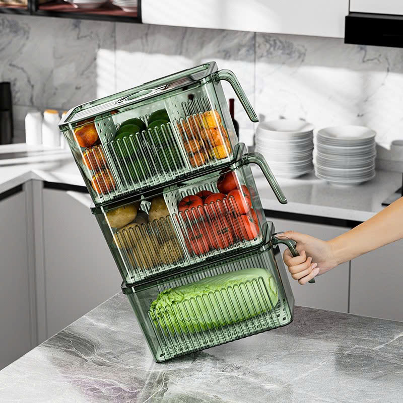 25923_z6219065573292-42d7345a9578a6fd62a68c70dd91a15d_20250114095506-13.jpg Hộp Đựng Thực Phẩm Rau Củ Trái Cây Có Tay Cầm 28x13x13cm - HDTPCTC