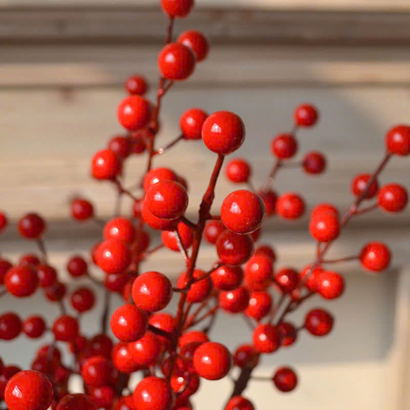 1 Cành Đông Đào 12 Nhánh Trái Mọng Đỏ Dài 90cm 8 1 Cành Đông Đào 12 Nhánh Trái Mọng Đỏ Dài 90cm