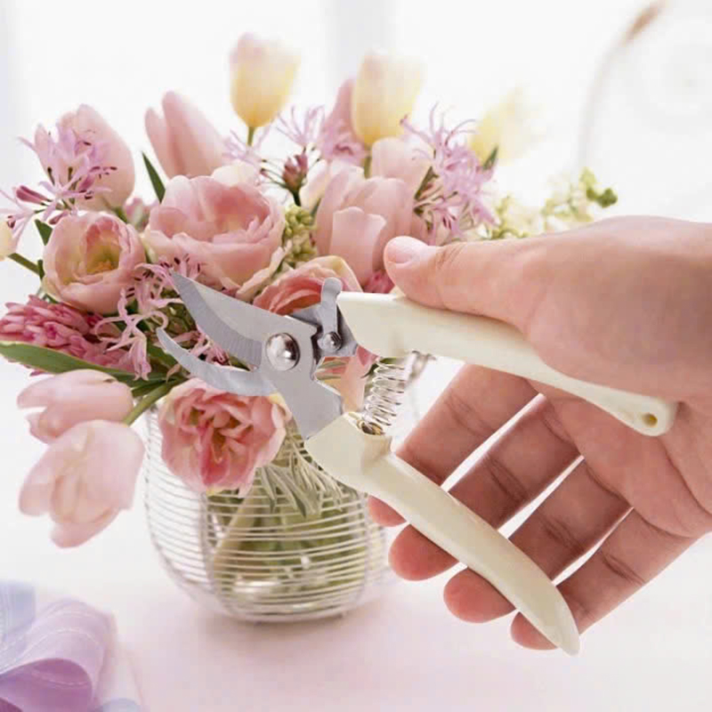 25998_z6233888042421-3e95229e3ae14f2aaab8b82578f17806_20250118153008-2.jpg Kéo Cắt Cành Cây - Kìm Cắt Cành Kéo Cắt Tỉa Cành Cây Siêu Sắc 18.5cm - KCCC01