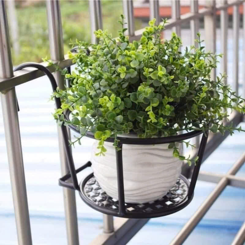 26016_z6238536260433-4895b34fa08c6b0f01aee3fb2fb78c9b_20250120162342-2.jpg Giỏ Sắt Tròn Treo Hoa Ban Công 18x18cm - GTH01