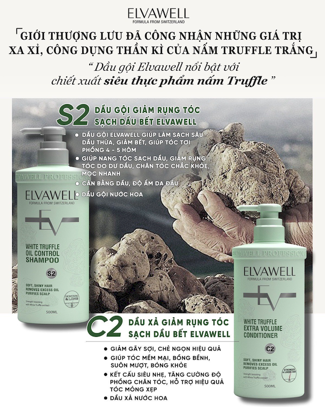 26477_z5188086334867-a7e03eb4bde45775b66a284b38691dbd_20250716155137-2.png Combo Dầu Gội Xả Elvawell Màu Xanh Nấm Truffle 1000ml Hỗ Trợ Tóc Sạch Dầu Bết - ELVAWELLXANH