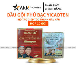 Dầu Gội Phủ Bạc Yicaoten Màu Nâu Hộp 10gói - GOIYICAOTENNAU