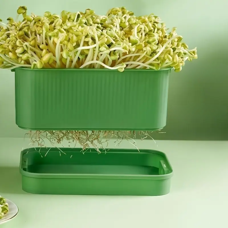 26890_4_20251015172545-1.png Khay Trồng Giá Đỗ Bằng Nhựa Nguyên Sinh - Khay Trồng Rau Mầm - KTR01