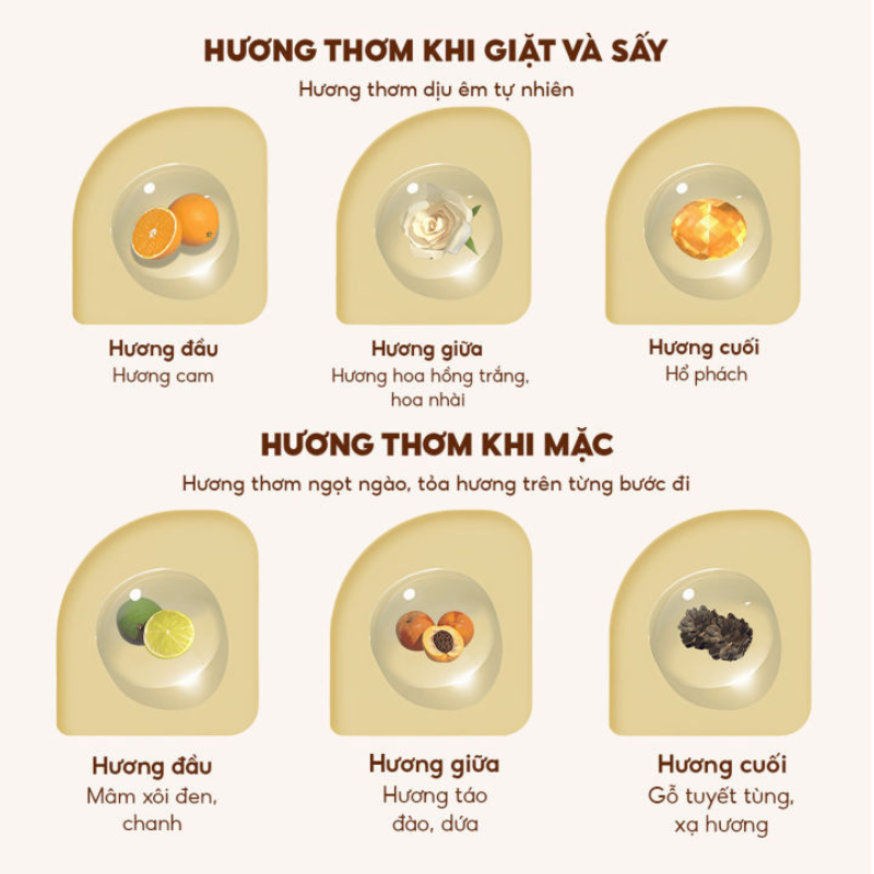 26897_7_20251016165824-1.png Combo 2 Túi Nước Giặt Xả Top Gia Hương Lavender 3in1 Dịu Nhẹ 2L/Túi - NGXQA01