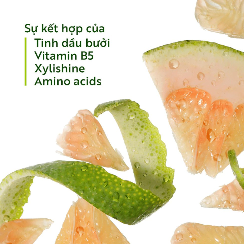 26910_13_20251018100112-1.png Combo Dầu Gội Xả Bưởi Cocoon - Dầu Gội Bưởi Cocoon Pomelo Shampoo 500ml Và Dầu Xả Bưởi Cocoon Pomelo Hair Conditioner 310ml - CBGXBCOCOON